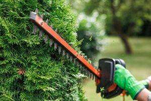 Hedge trimmer